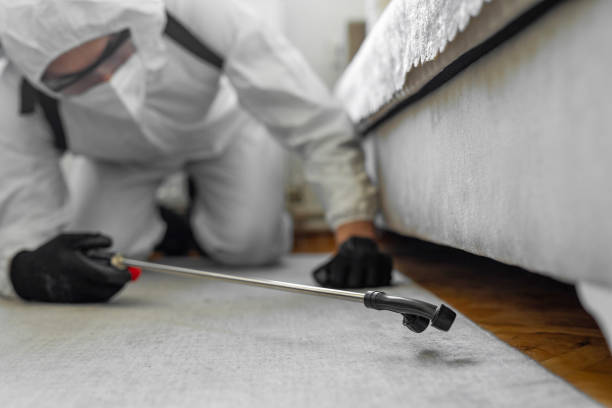 Professional Ant Control technician working in Orchard Grass Hills, KY